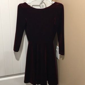 Burgundy Velvet Skater Dress